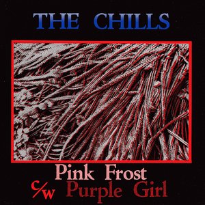 Pink Frost