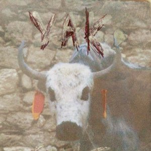 Avatar for Yak Snot