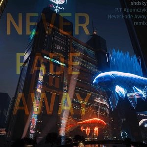 Never Fade Away (P.T. Adamczyk remix)