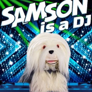 Samson Is A DJ