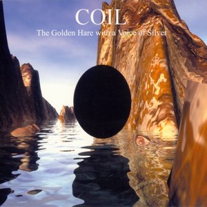 Coil