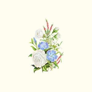 Etude of clair