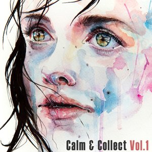 Calm & Collect Vol. 1