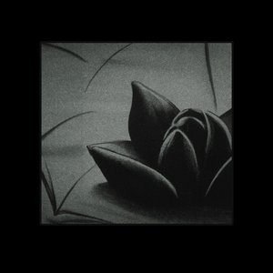 Black Lotus