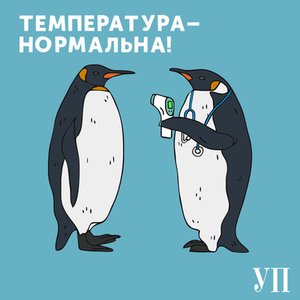 Температура – нормальна 的头像