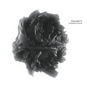 Polarity | Mixed By Focal