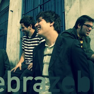 Zebra Zebra 的头像