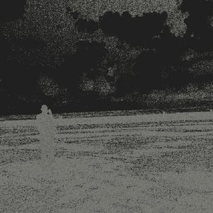 nothing is sacrosanct 的头像