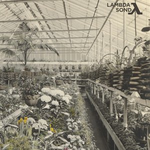 Lambda Sond 的头像