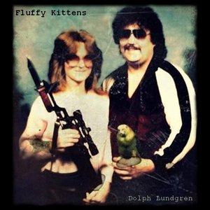Fluffy Kittens 的头像