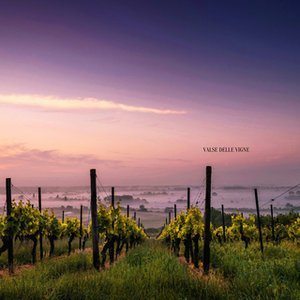 Valse Delle Vigne