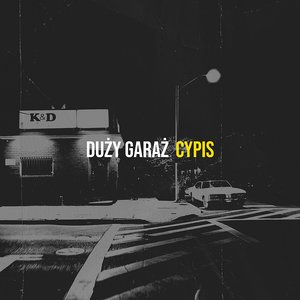 Duży garaż