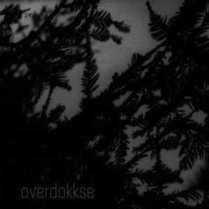 Overdokkse