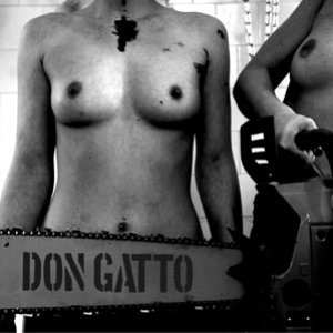 Don Gatto