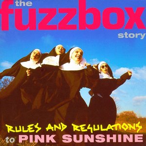 Rules & Regulations to Pink Sunshine: The Fuzzbox Story