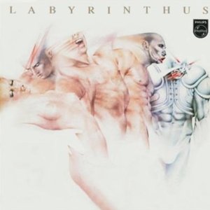 Labyrinthus 的头像