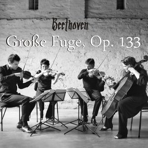 'Große Fuge, Op. 133' için resim