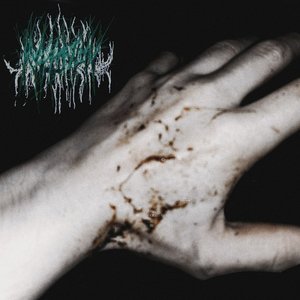 SEV3RANCE C0Mp0S1TE++