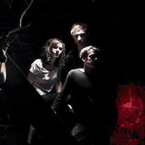 Image for 'The Night Terrors'