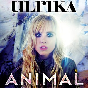 Animal - Single