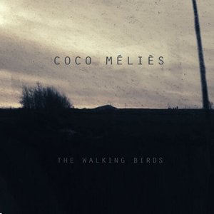 The Walking Birds