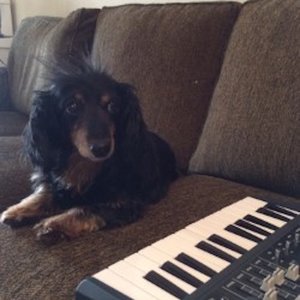 Avatar for Bret Saunders