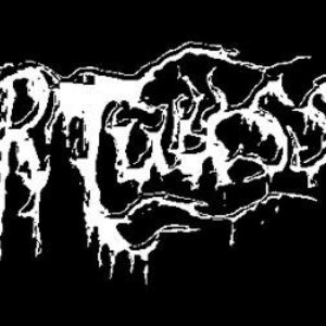 Mortuus Sum 的头像