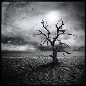 Avatar for Tree Of Woe