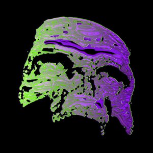 Fudhayl - Single
