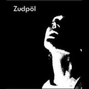 “Zudpöl”的封面