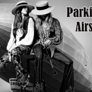 Parking Airship 的头像