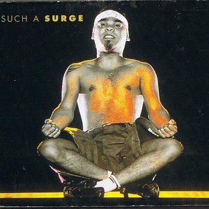 Such A Surge (Danke)