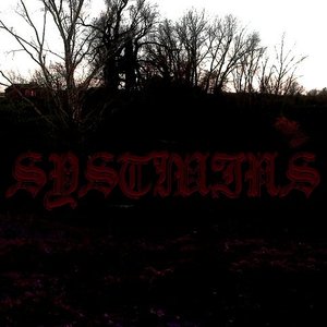 systmins 的头像