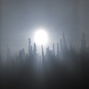 Galena Sun 的头像
