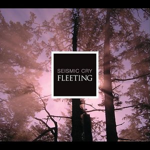 Fleeting