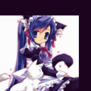 edolls 的头像