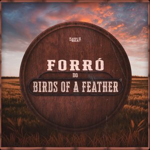 Forró do Birds Of A Feather