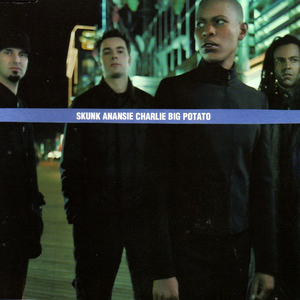 Skunk Anansie - Charlie Big Potato - Zortam Music