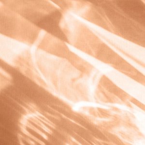 Silhouettes In Still Water