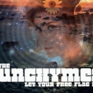 Image for 'The Sunchymes'