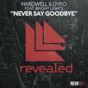 Never Say Goodbye (Radio Edit)