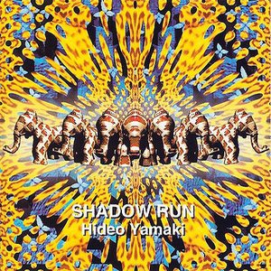 Shadow Run