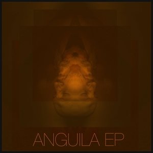 Anguila 的头像