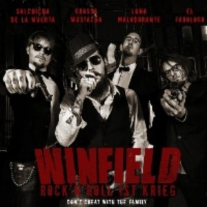Rock'n'Roll Ist Krieg