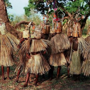 Boys of Chief Mwasi's Village 的头像