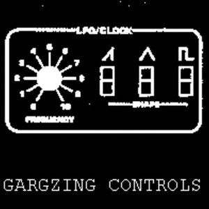gargzing controls 的头像