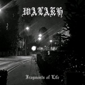 Fragments of Life
