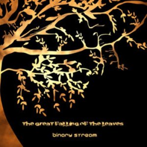 Binary Stream 的头像