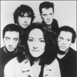 Katydids photo provided by Last.fm