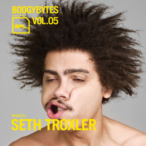 Seth Troxler - Boogybytes Volume 5 - Zortam Music